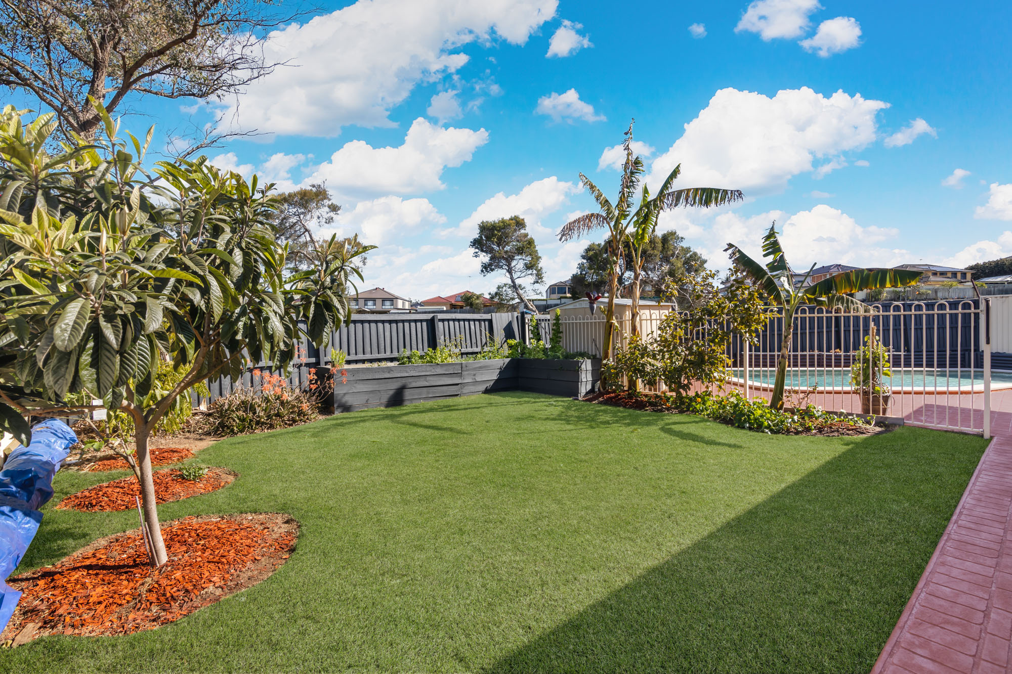 8 Richard Crescent, Cecil Hills - Thumbnail 3