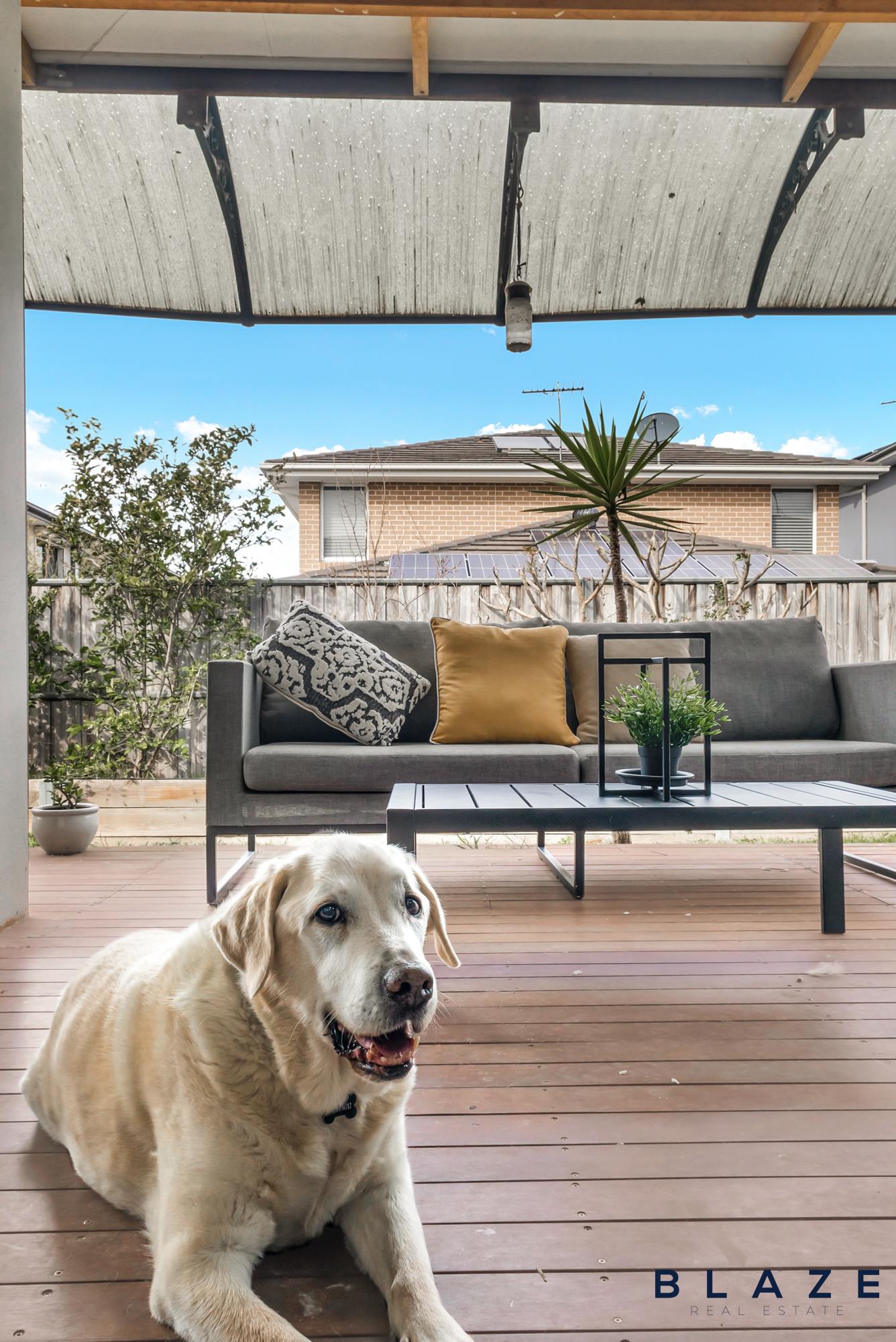 8 Hertfordshire Street, Elizabeth Hills - Thumbnail 2